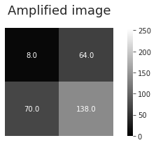 Amplified Image